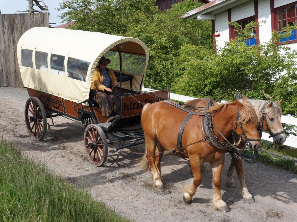 Am Wald - Einzelstandort Mit Wallbox * Hasselfelde