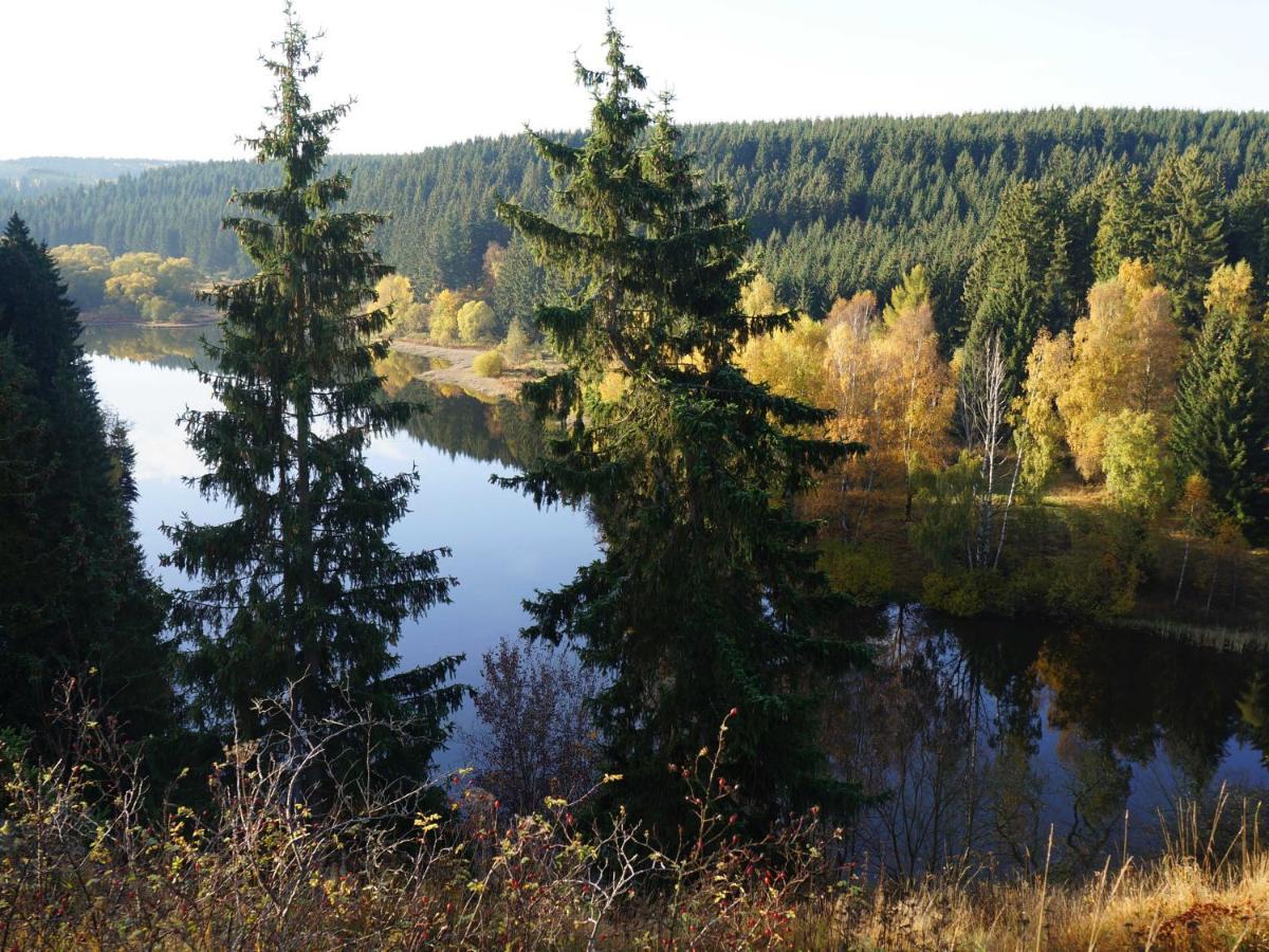 Am Wald - Einzelstandort Mit Wallbox * Hasselfelde