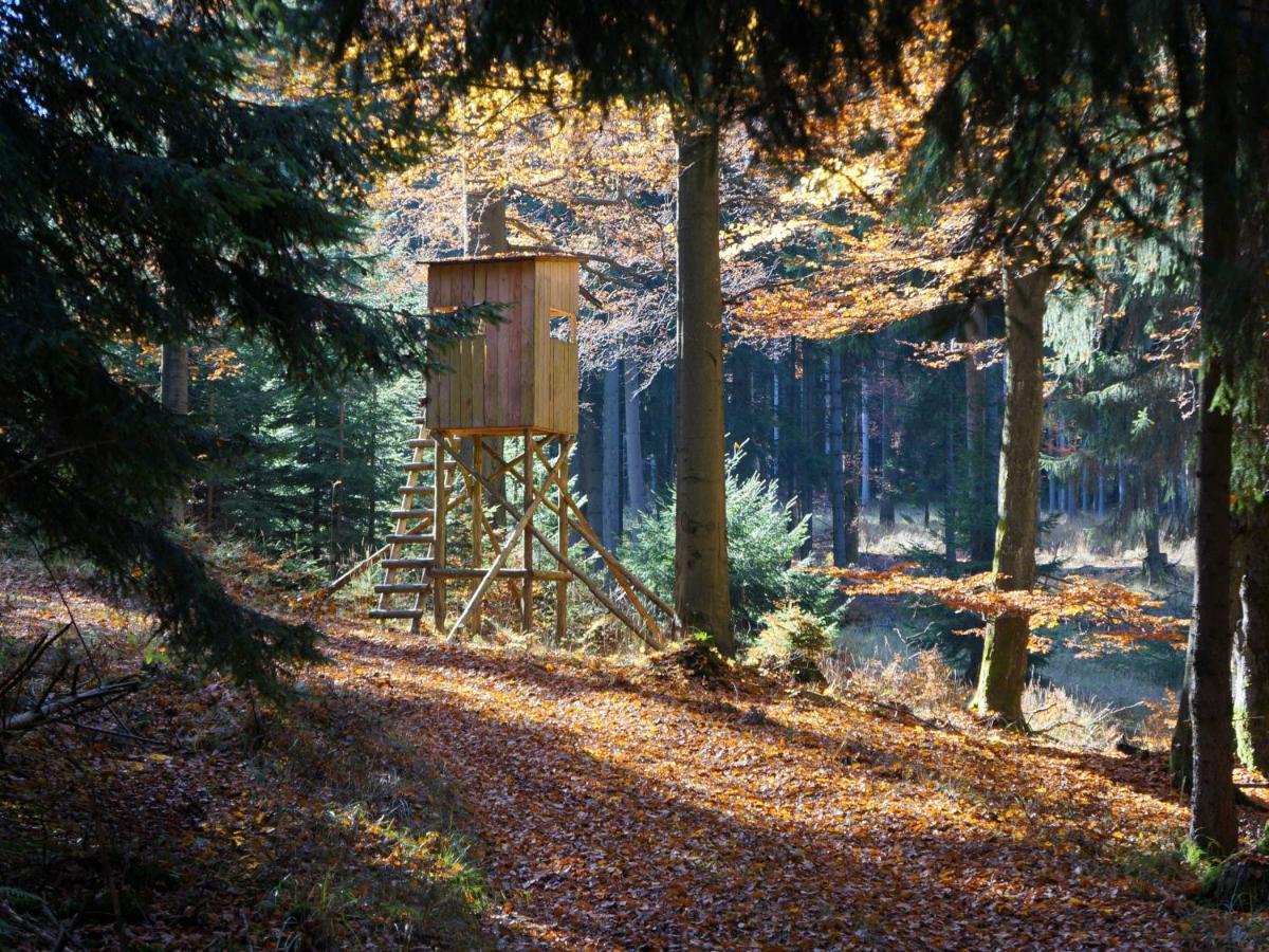 Apartment Am Wald - Einzelstandort Mit Wallbox *