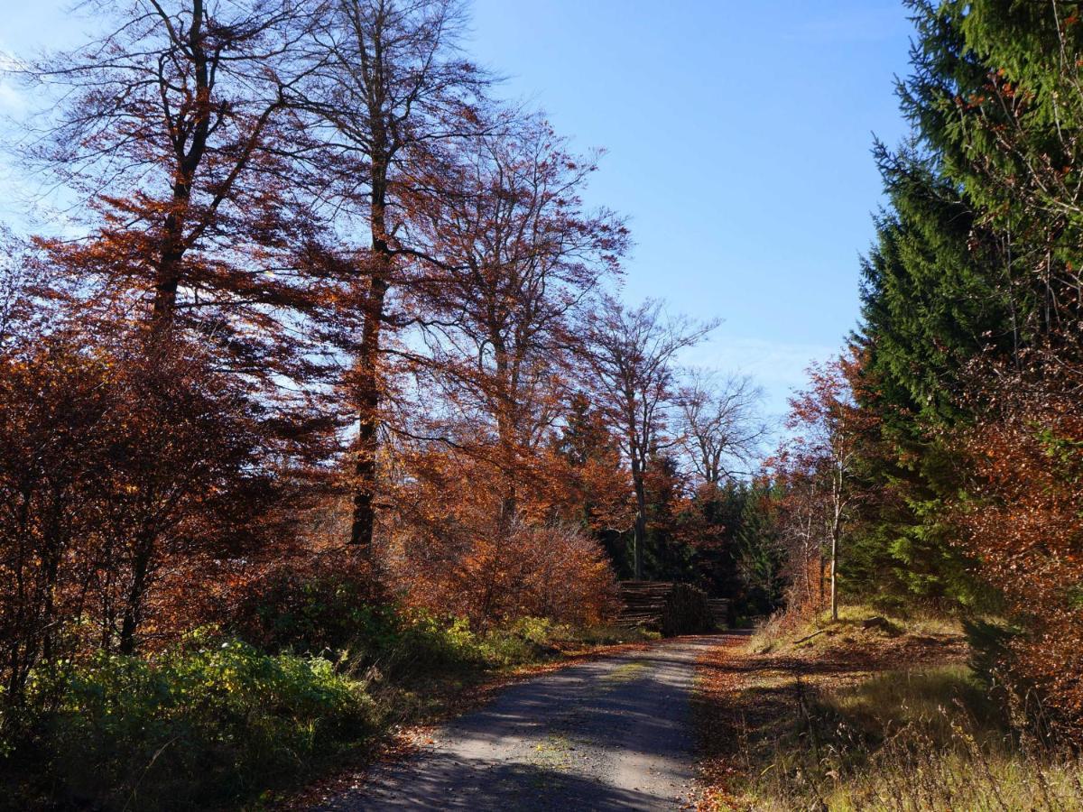 Apartment Am Wald - Einzelstandort Mit Wallbox *